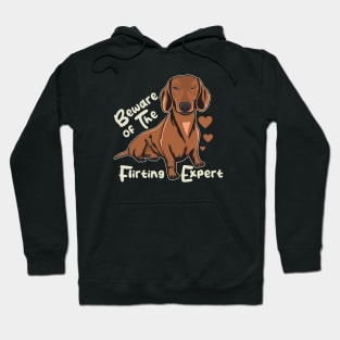 Funny Daschund Beware of The Flirting Expert Hoodie